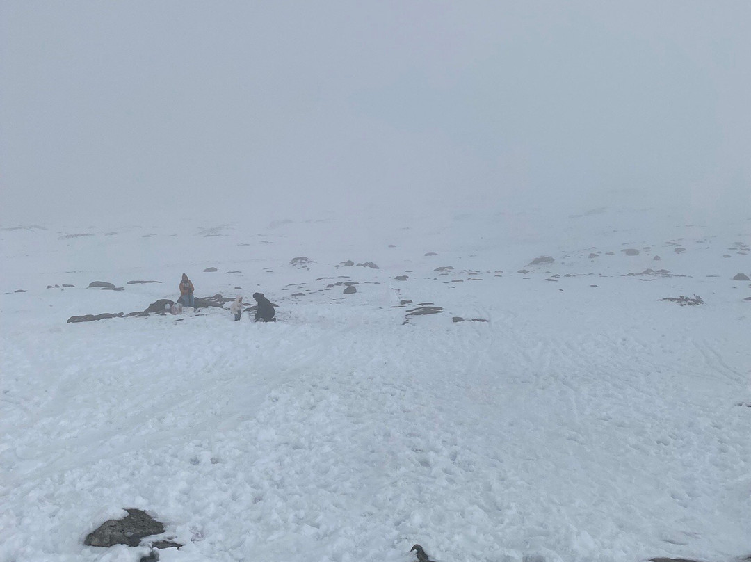 Serra da Estrela景点图片