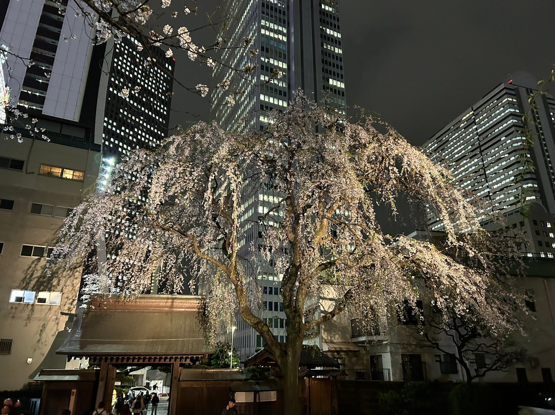 Joenji Temple-Nishishinjuku必去景点