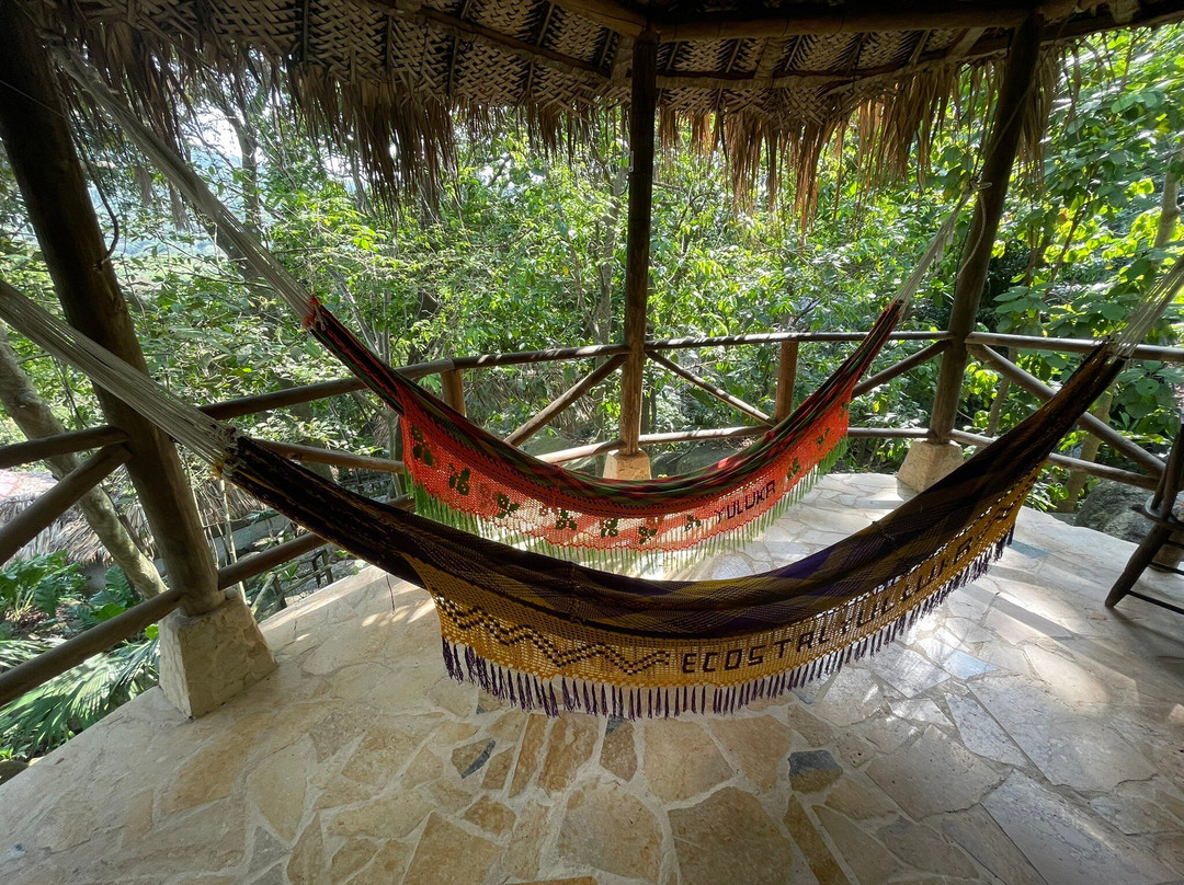 Eco Hostal Yuluka主图