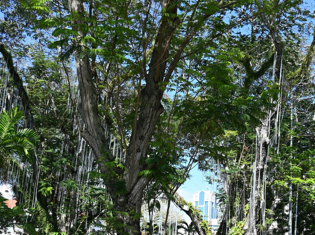 Penang Municipal Park-乔治城必去景点