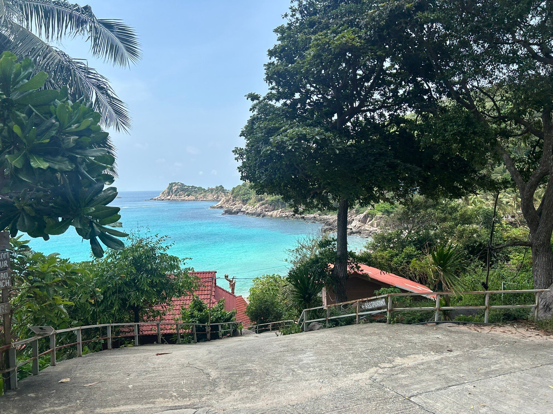 Free Beach To Shark Bay-涛岛必去景点
