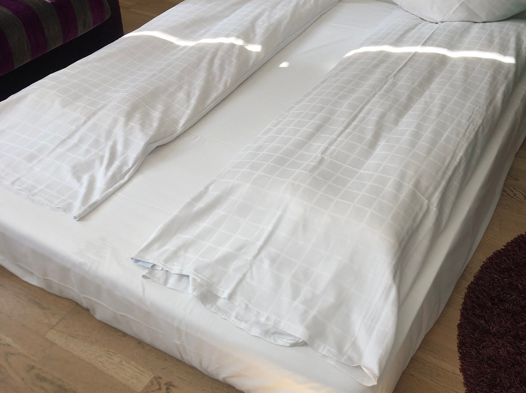 阿布萨隆丹恩斯克食客酒店主图