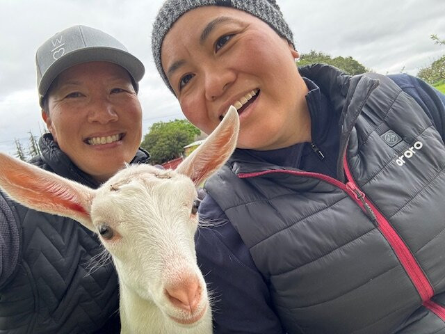 Redwood Hill Farm - Capracopia景点图片