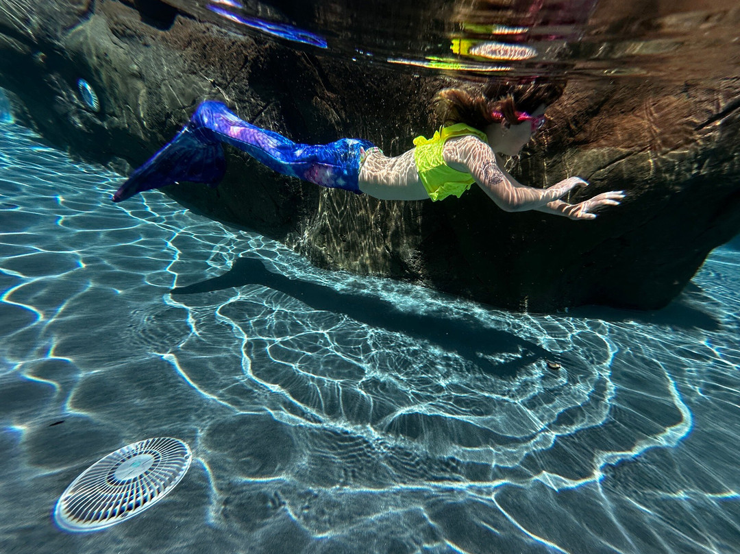 The Mindful Mermaid Swim Academy景点图片