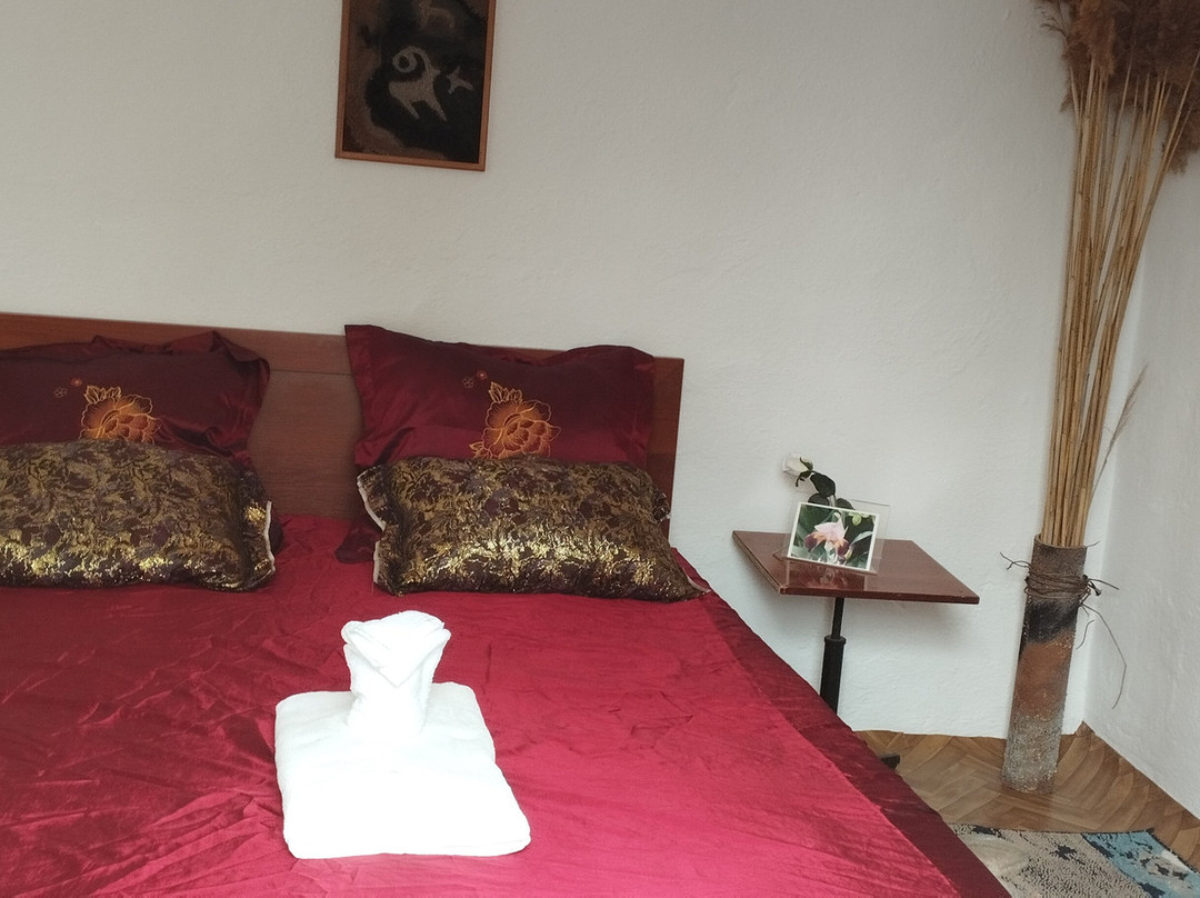 Guest house on Akmatbai-Ata 29主图