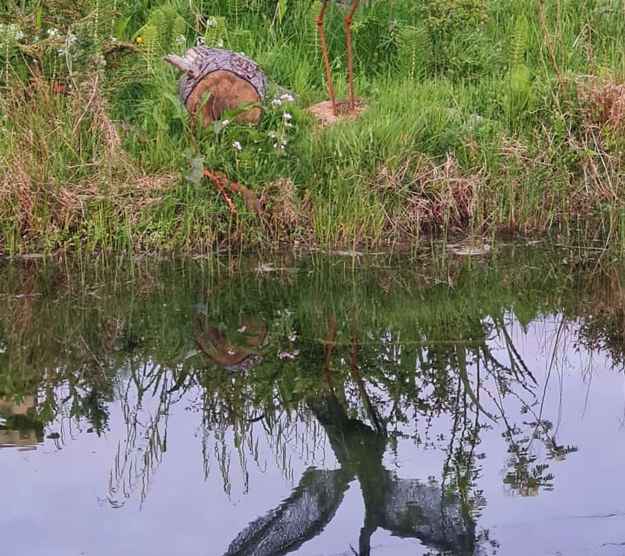 Kirwan's Garden-Rosslare Harbour必去景点