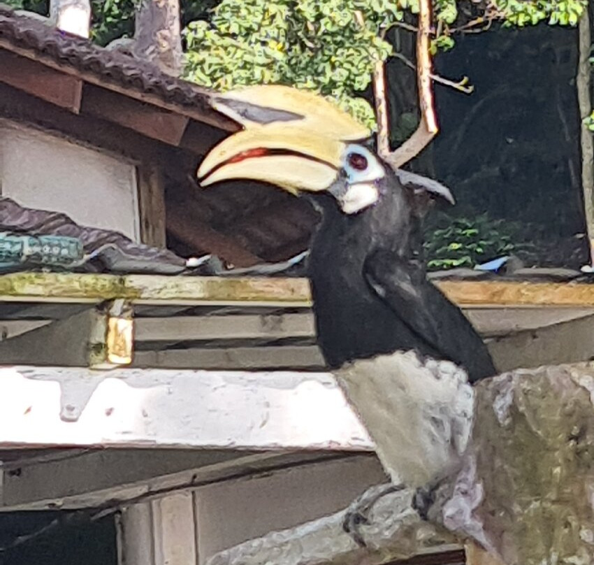 Pangkor Island-邦喀必去景点
