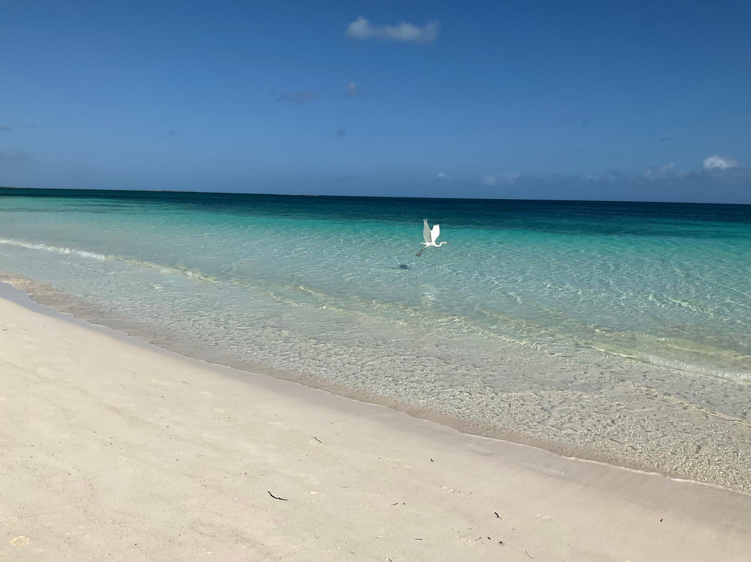 Iberostar Coral Ensenachos主图