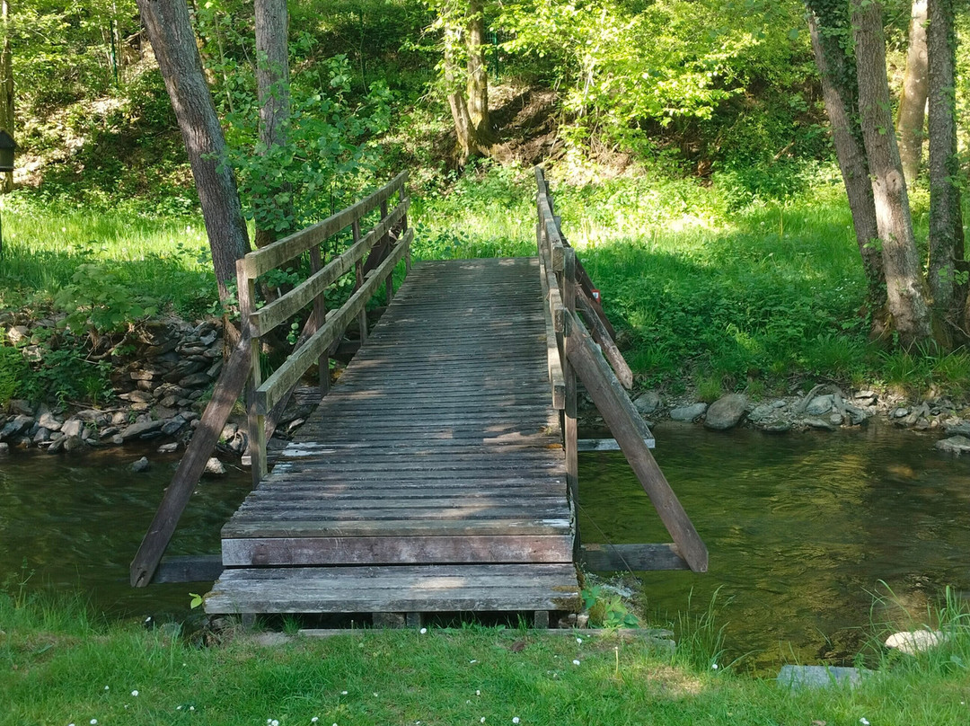 Le Moulin de Daverdisse主图