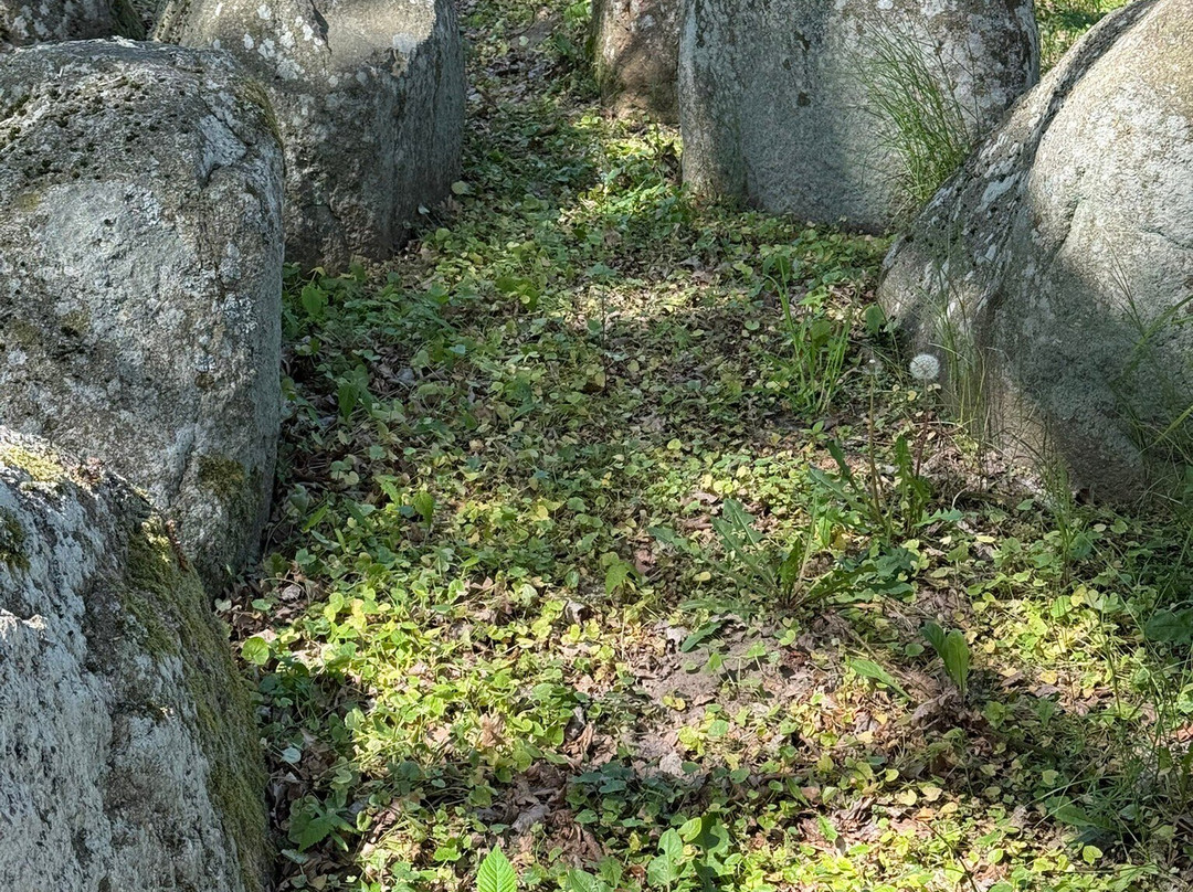 Grosssteingrab景点图片
