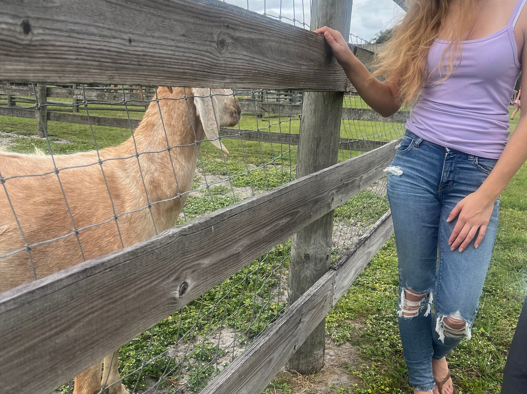 Pioneer Village at Shingle Creek-基西米必去景点