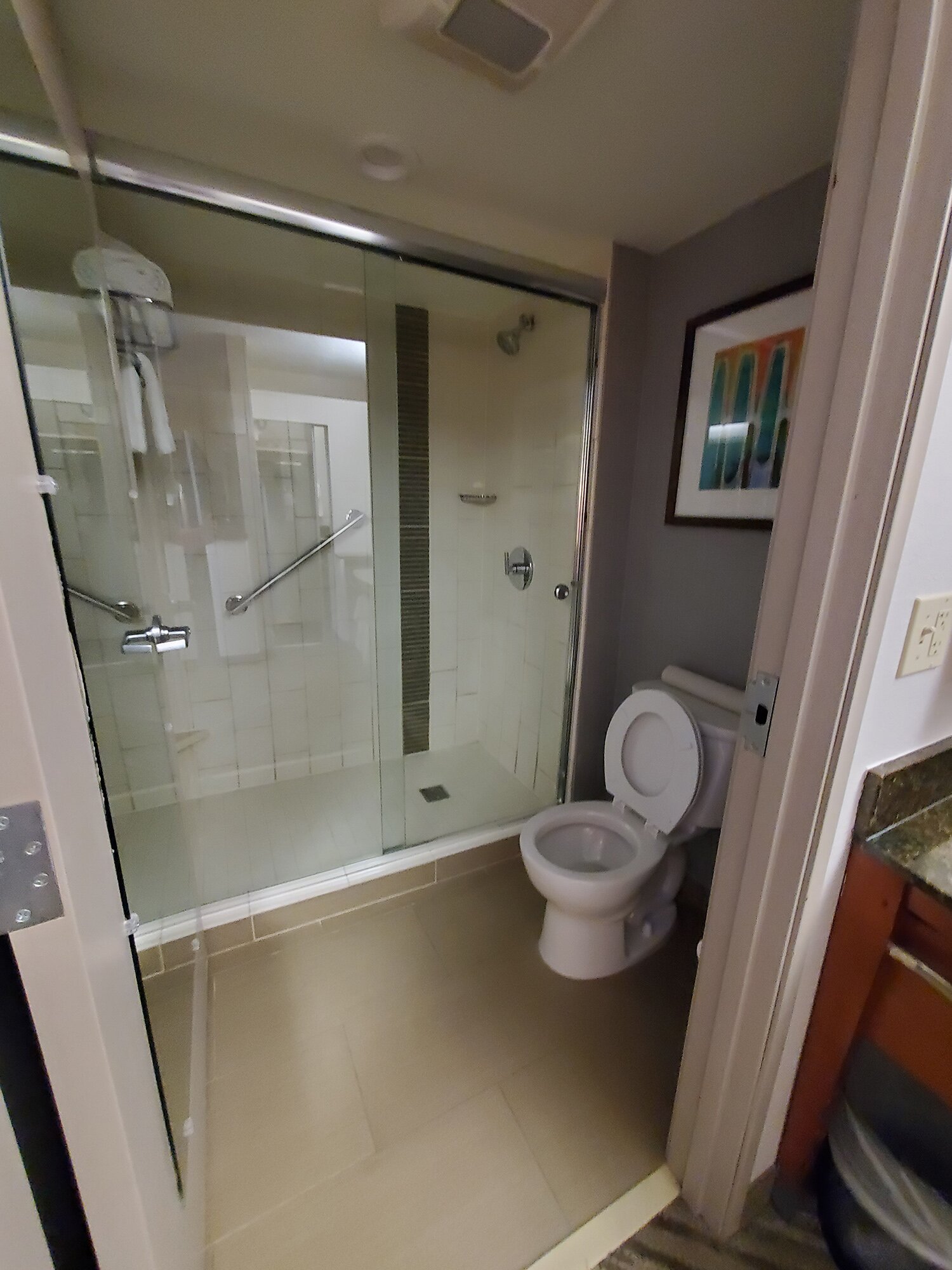 Hyatt Place Bentonville/Rogers-浴室