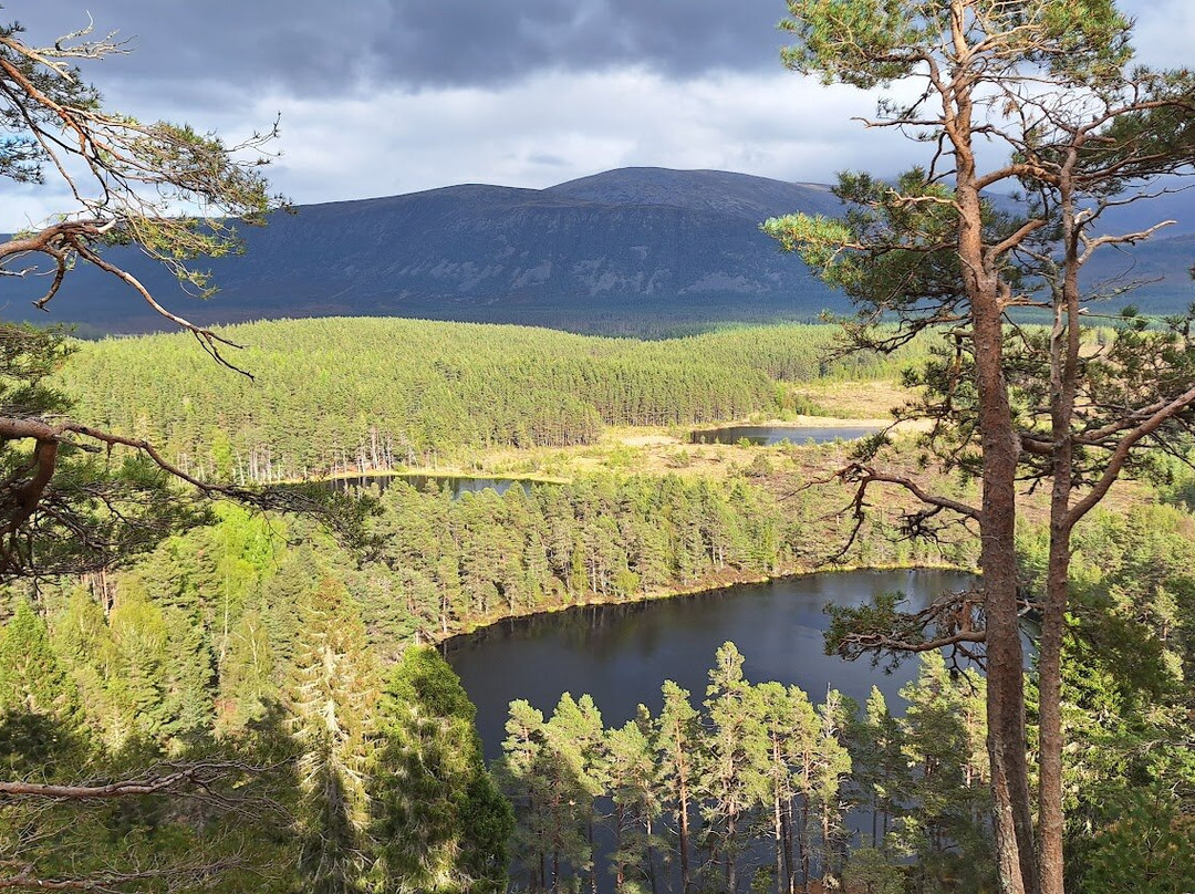 Uath Lochans Trail-Kincraig必去景点