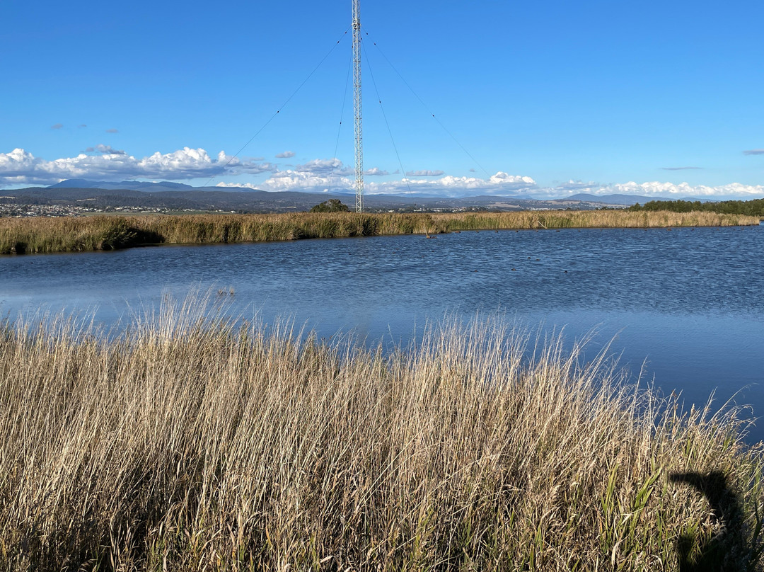 Tamar Island Wetlands景点图片