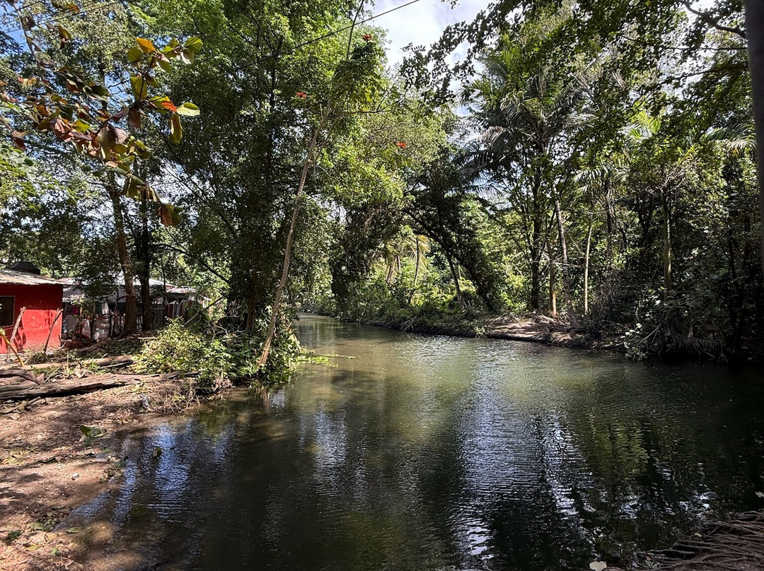 Las Cuevas de Cabarete-喀巴里特必去景点