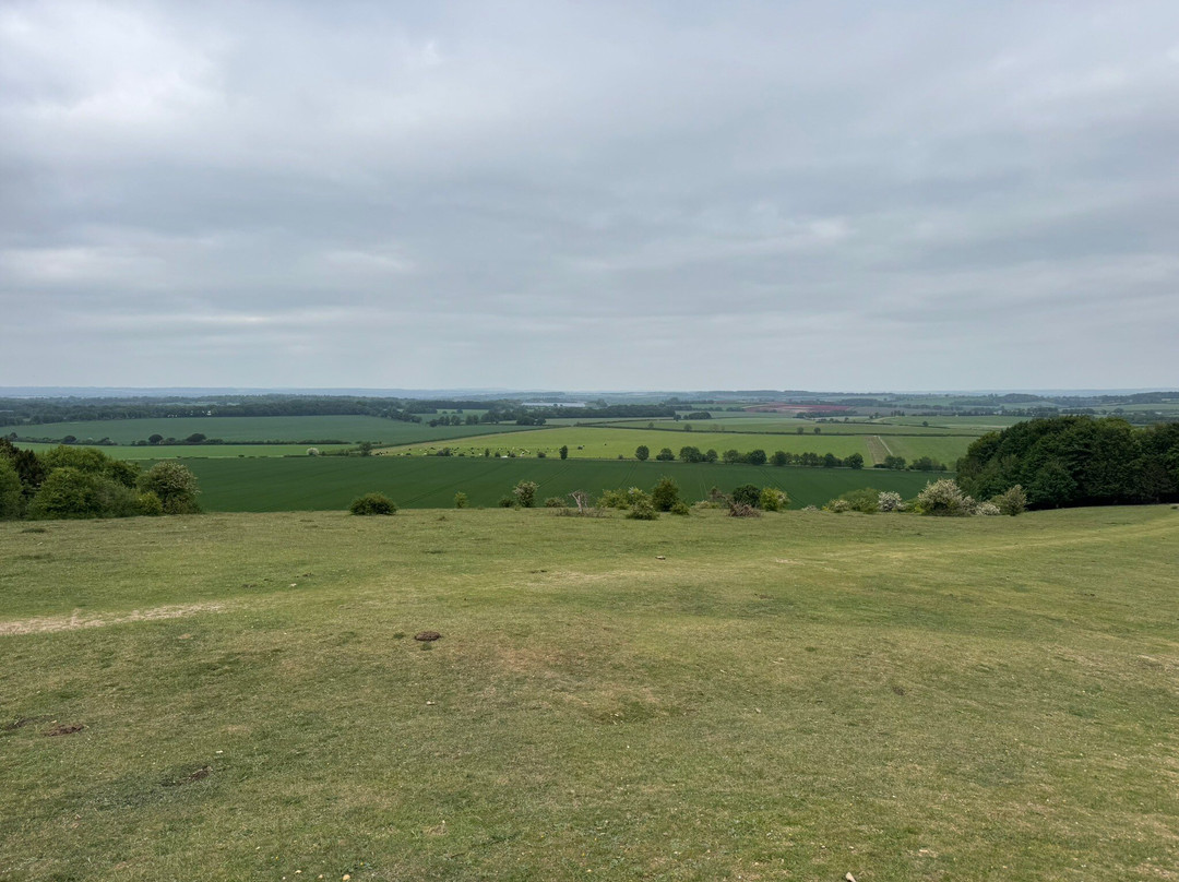 Danebury Iron Age Hill Fort-Nether Wallop必去景点