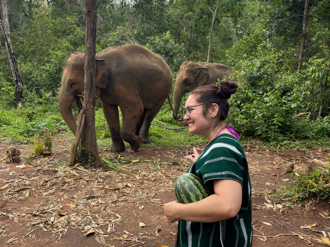 Elephant Village Sanctuary景点图片