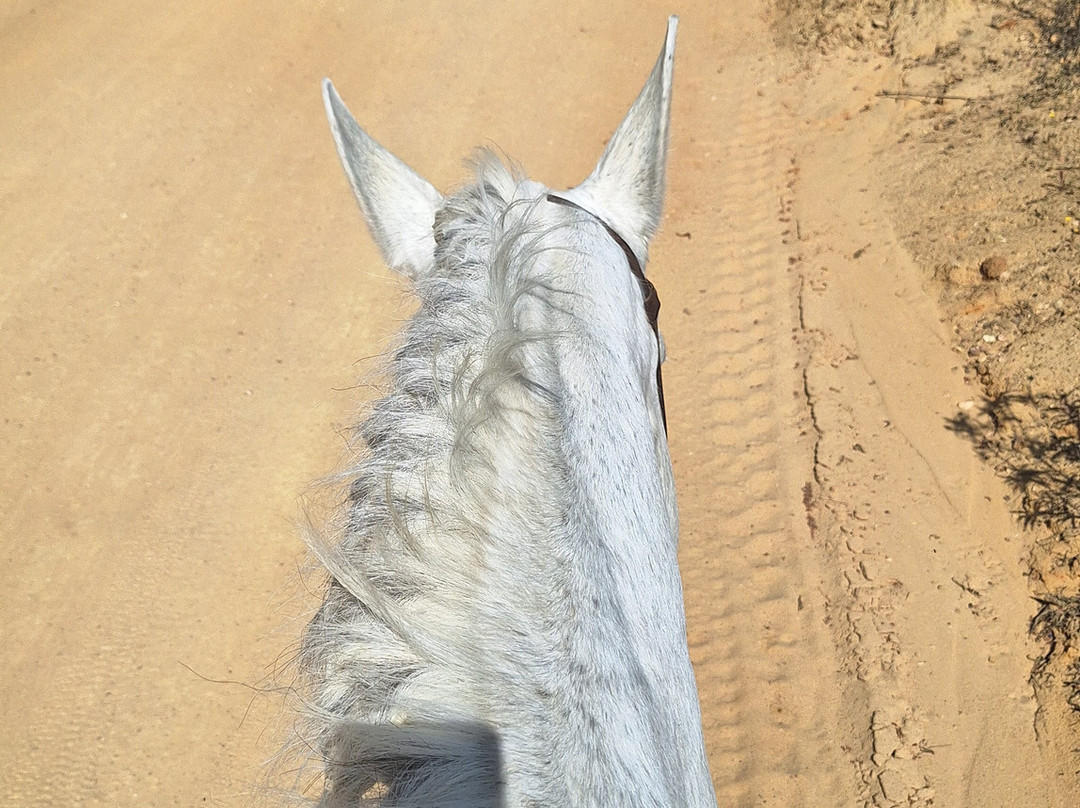 Dehesa Boyal-Villamanrique de la Condesa必去景点
