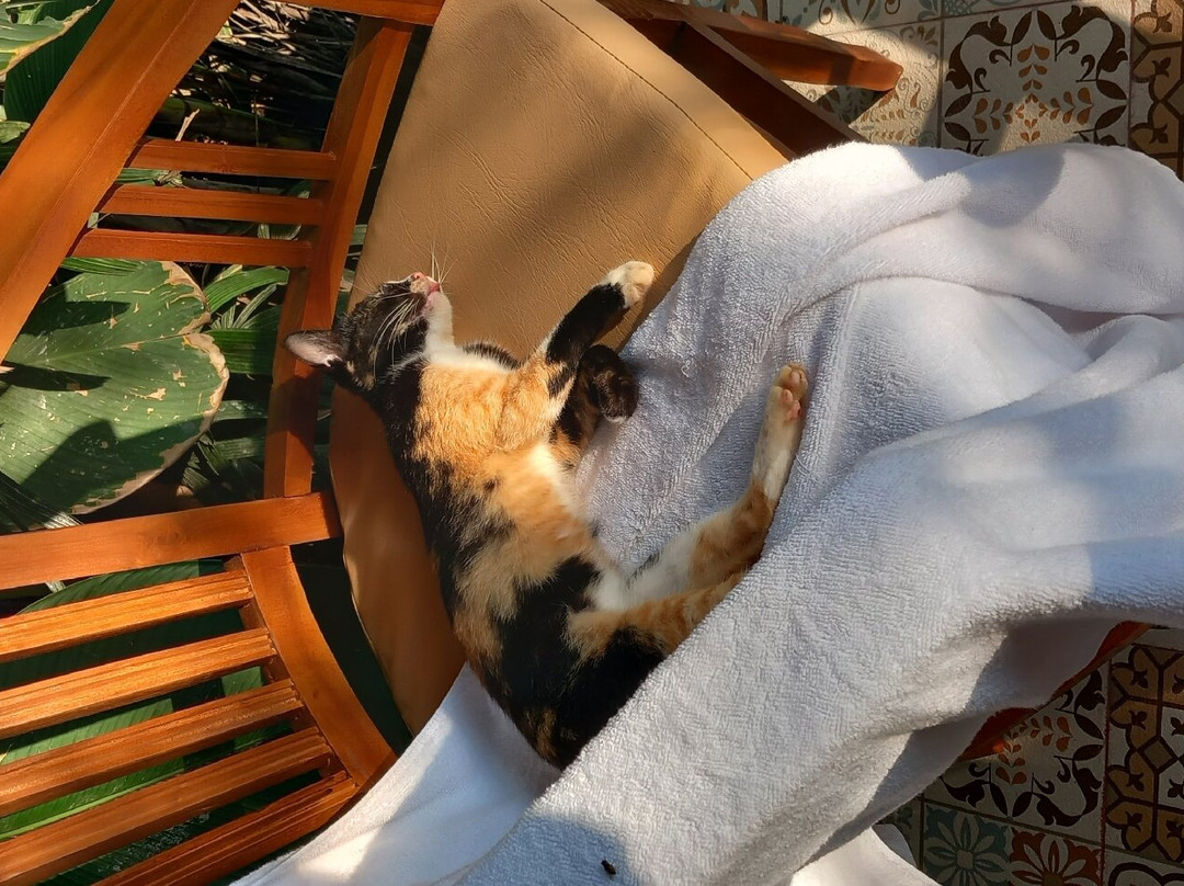 Teluk Menjangan Bali