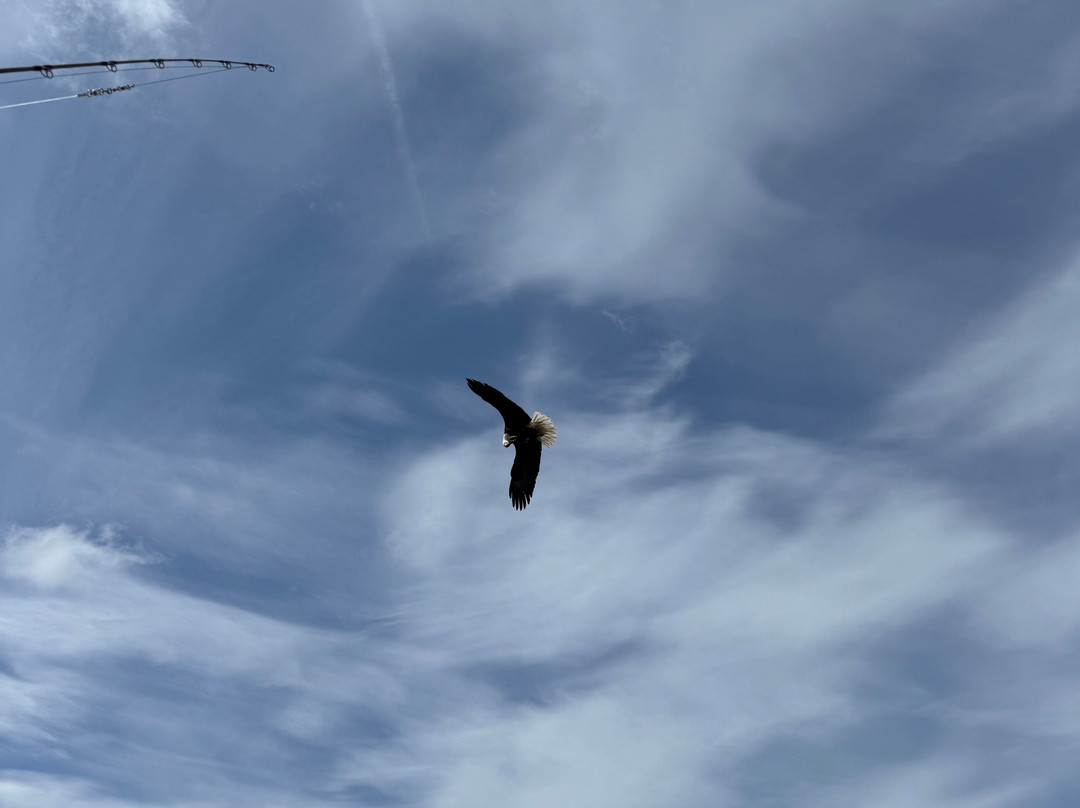 Svenson Sportfishing-凯奇坎必去景点