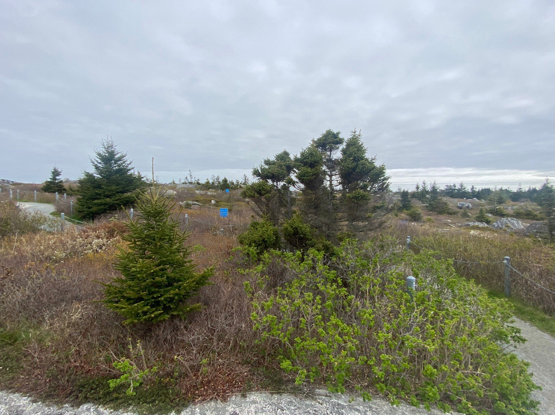 Swissair Flight 111 Memorial-Indian Harbour必去景点