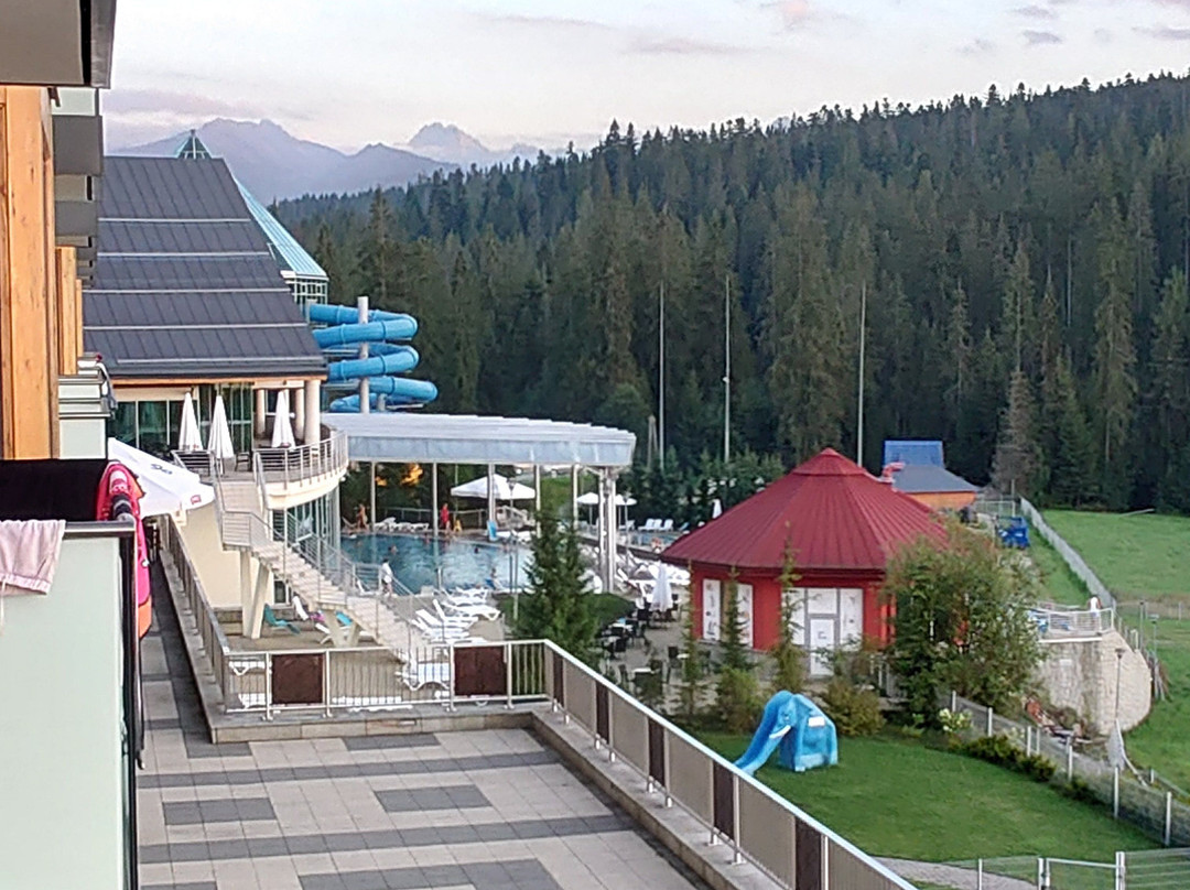 Hotel BUKOVINA主图