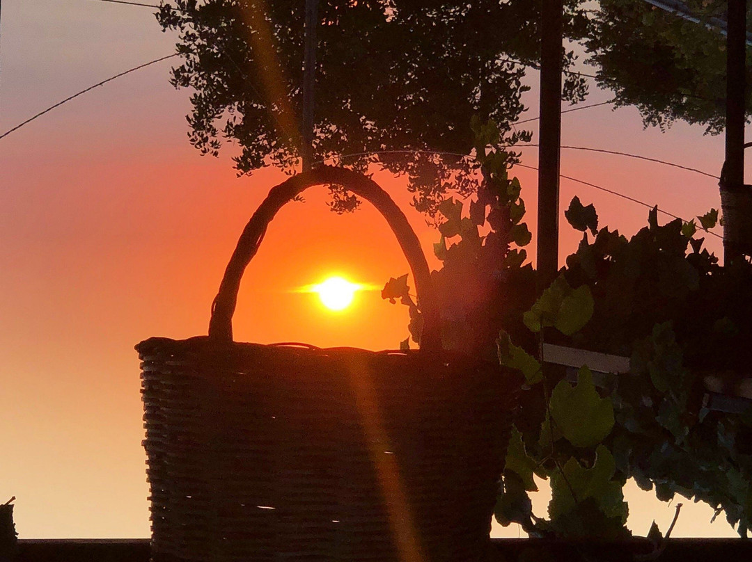 Lazarata餐馆和美食-Drymonaki