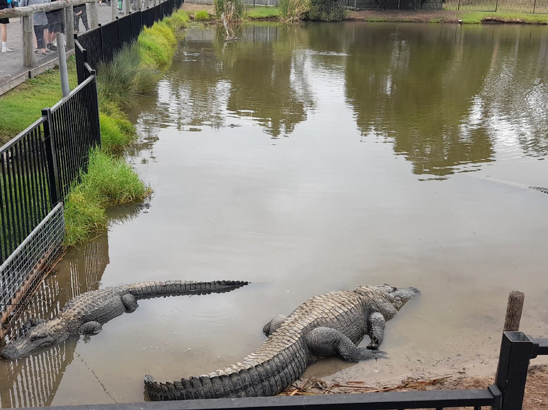Hunter Valley Wildlife Park-Nulkaba必去景点