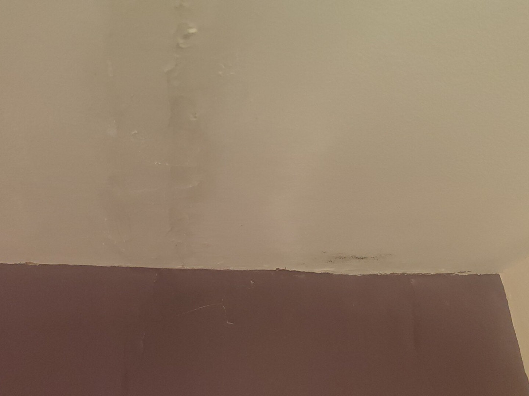 板球员纹章酒店主图