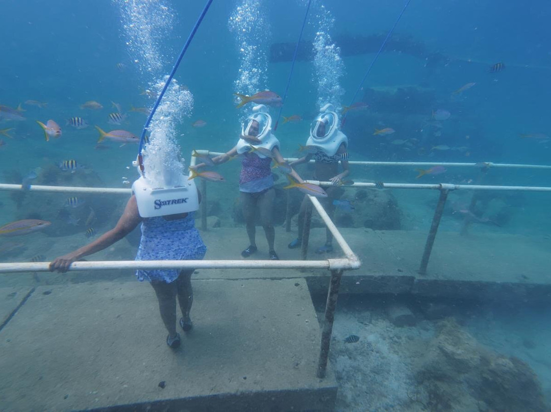 Sea Trek St. Maarten景点图片