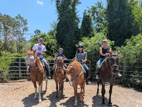 Mustang Moon Equine Solutions-奥卡拉必去景点