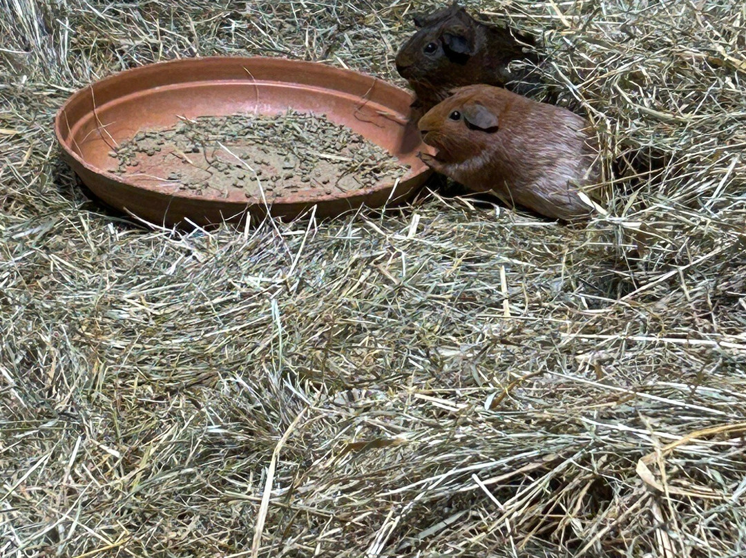 Rainforest Adventures-塞维尔维尔必去景点