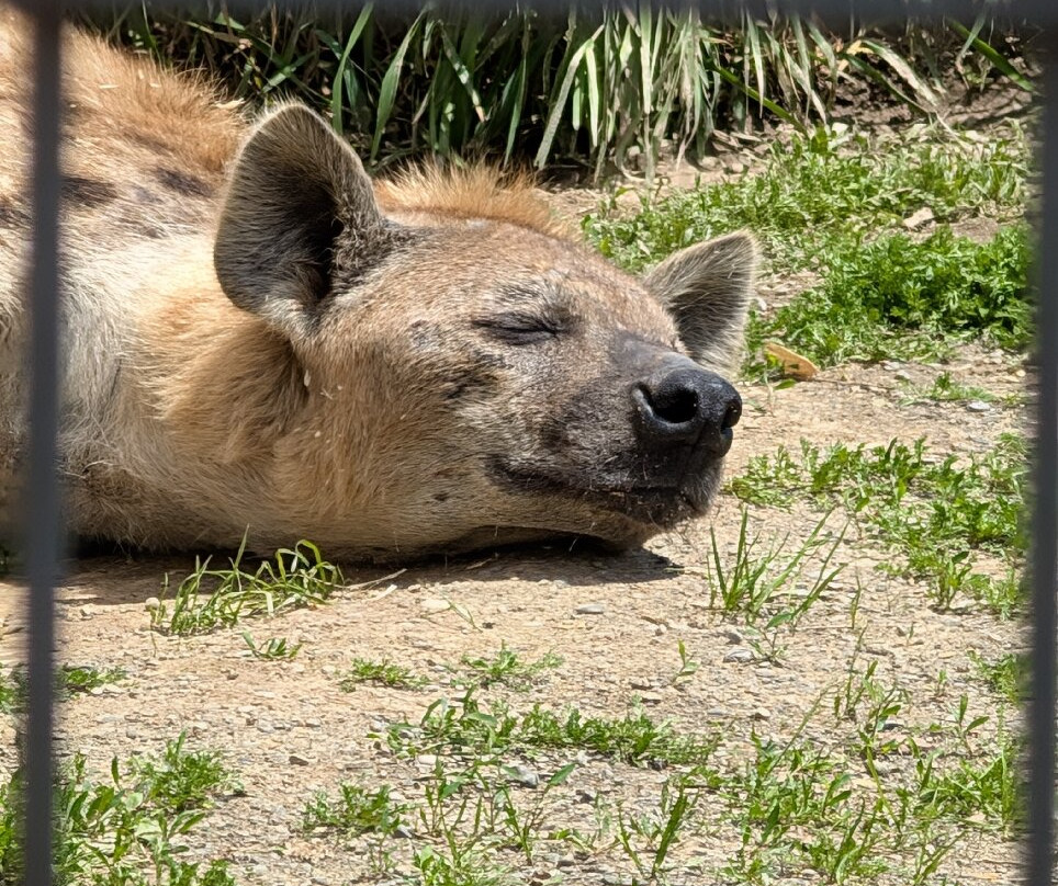 Animal Adventure Park-Harpursville必去景点