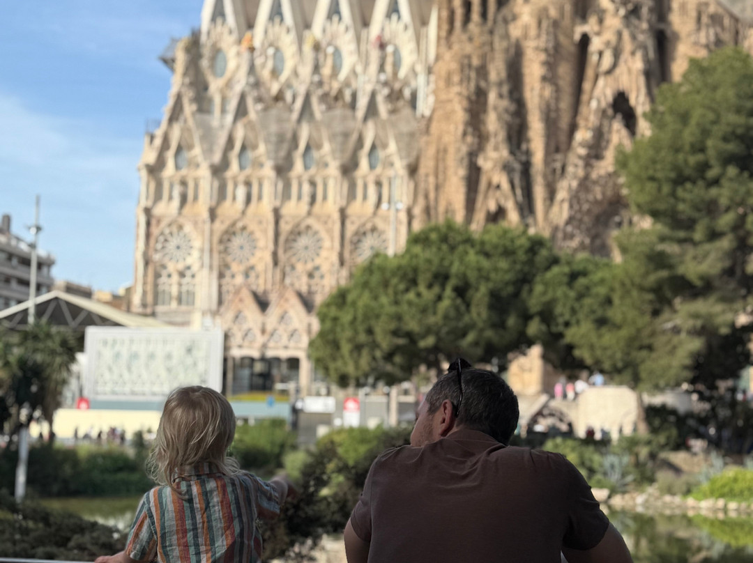 LivTours Barcelona-巴塞罗那必去景点