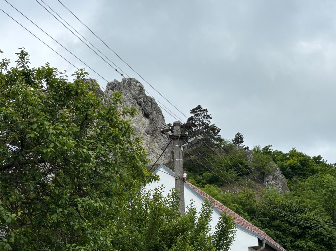 Wine Tours Moravia景点图片