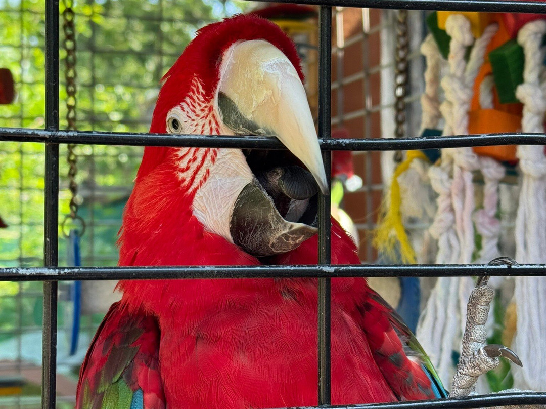 Wild Animal Adventure-斯坦顿必去景点