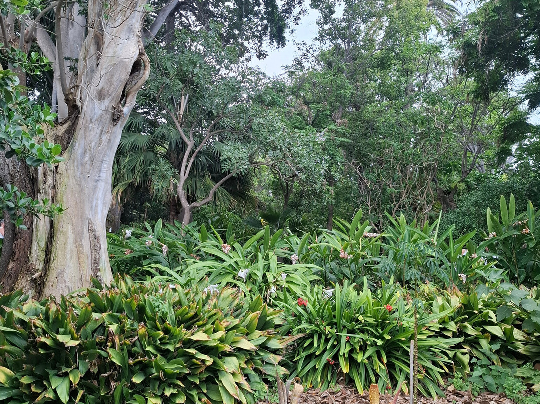 Botanischer Garten景点图片