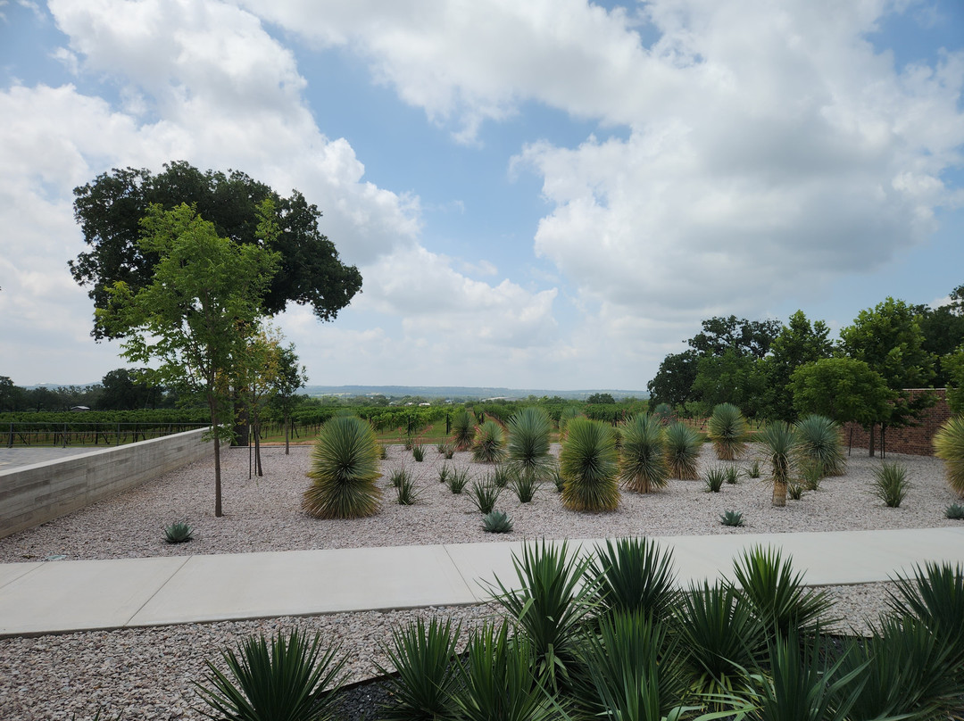 Invention Vineyards-弗雷德里克斯堡必去景点