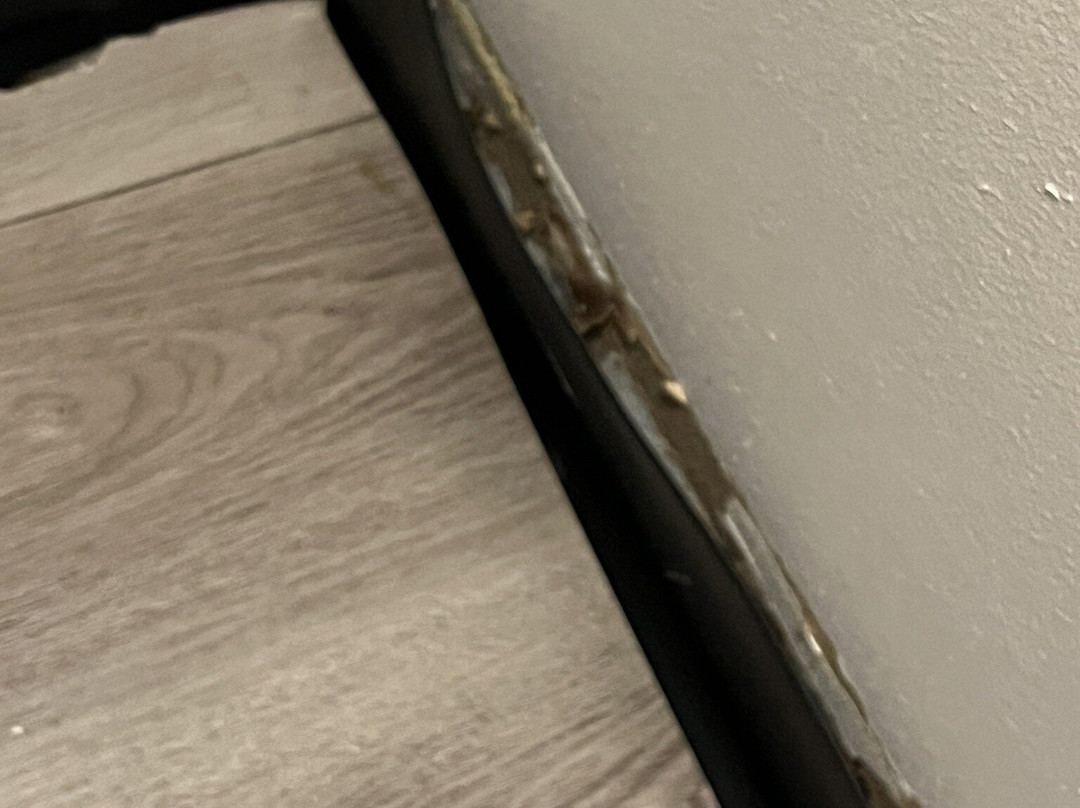 AmericInn by Wyndham Jackson主图