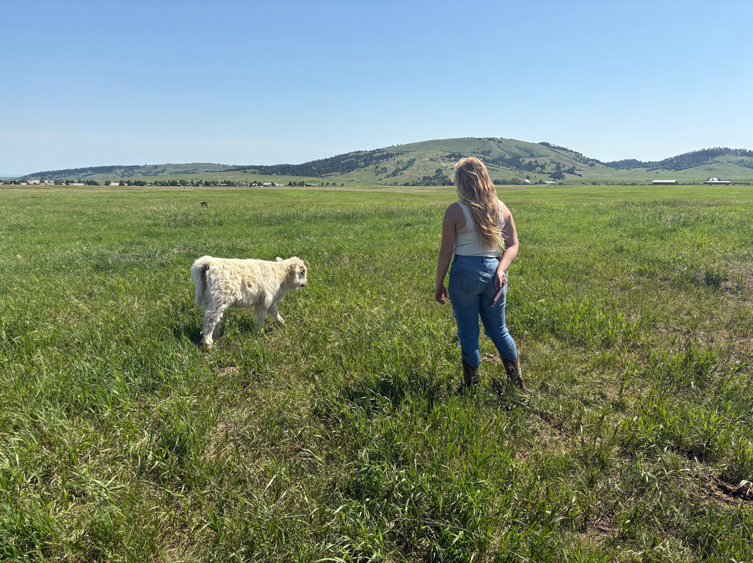 Black Hills Highlands-Spearfish必去景点