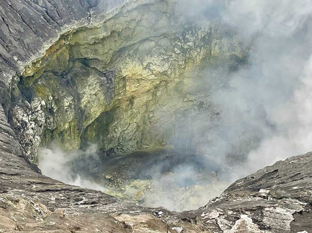 Samson West Bali Transport-吉利马努克必去景点