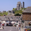Dorsetbruce