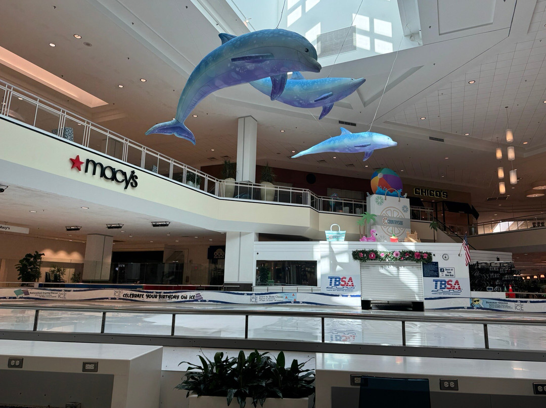 Westfield Countryside Mall-克利尔沃特必去景点