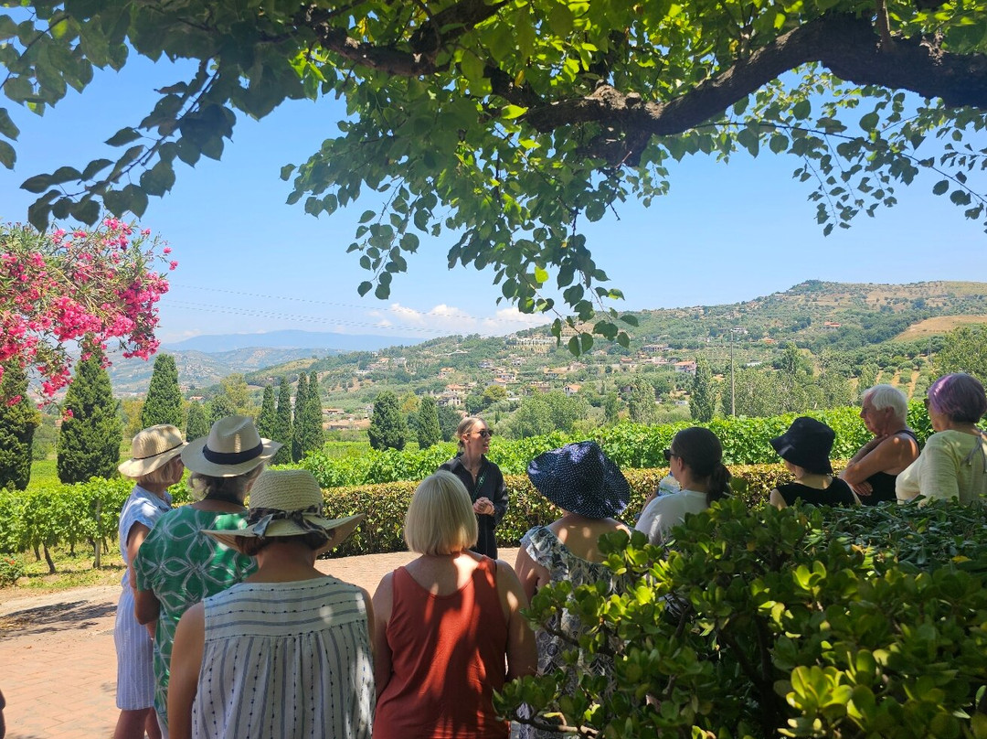 Azienda Agricola Marino-阿格罗波利必去景点
