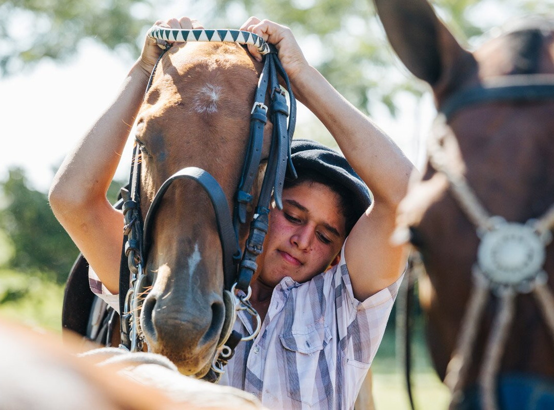 Estancia La Bandada主图