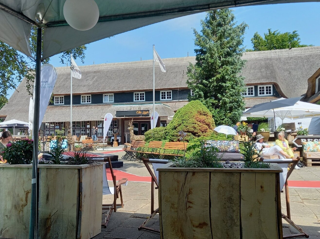 丹梅沃佛斯豪斯酒店主图