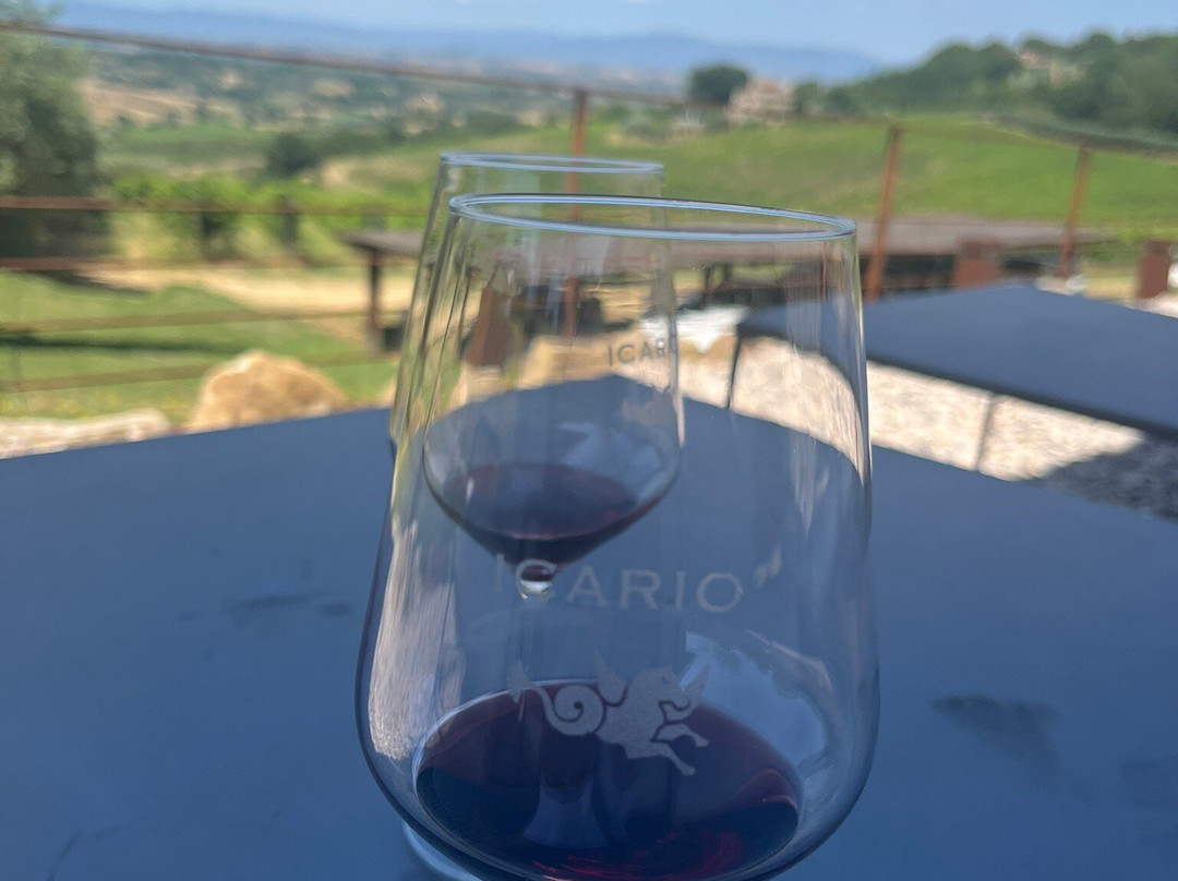 Icario Winery-蒙特普尔恰诺必去景点