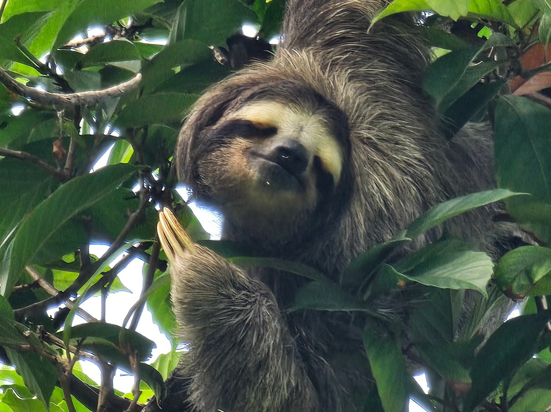 Layover Panama-巴拿马城必去景点