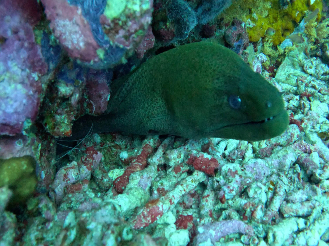 Meno Dive Club-Gili Meno必去景点