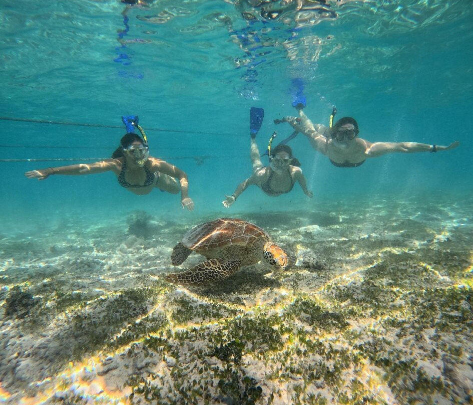 Jonny Tour Guide-Tetebatu必去景点